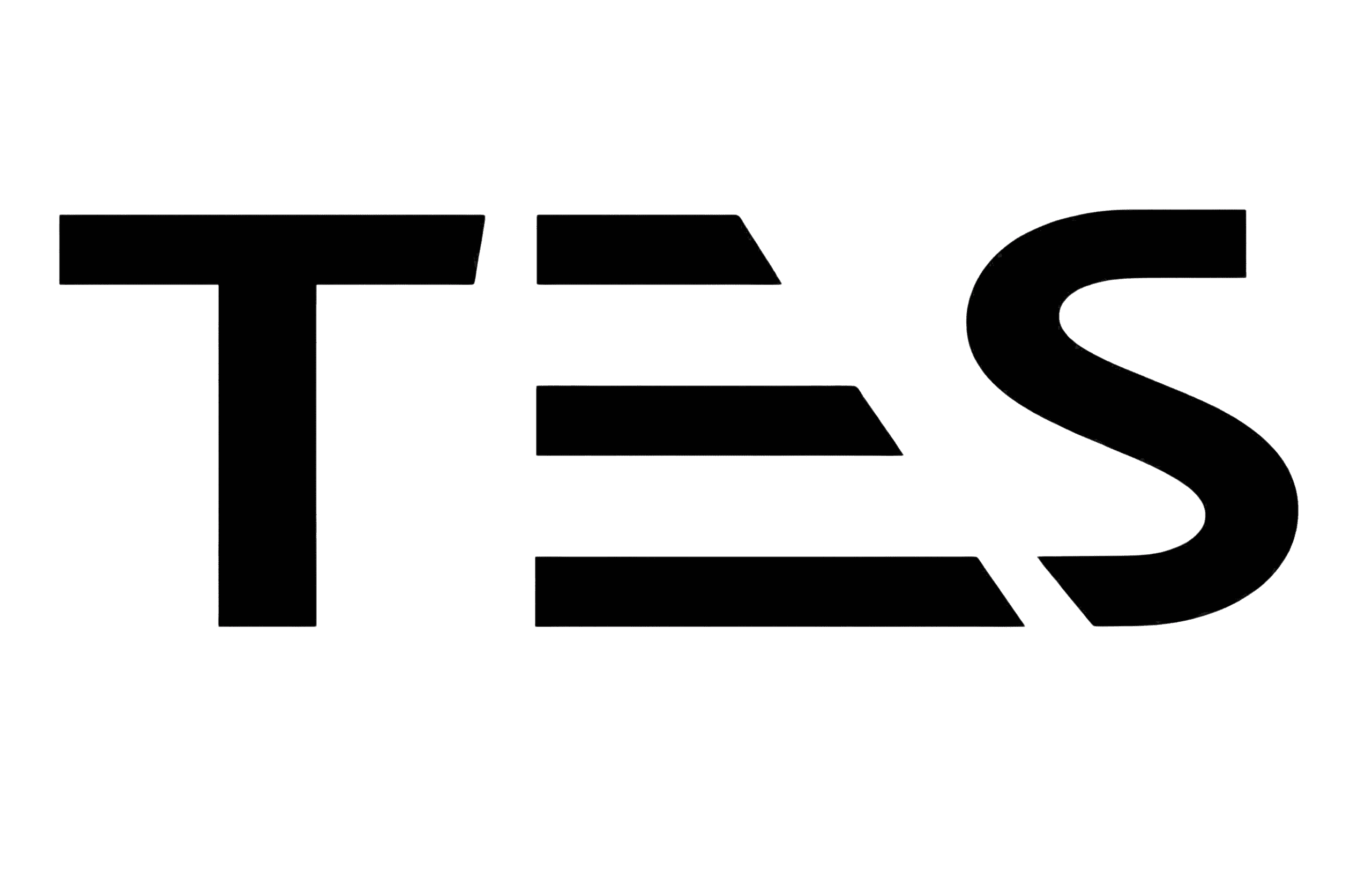 TES Logo
